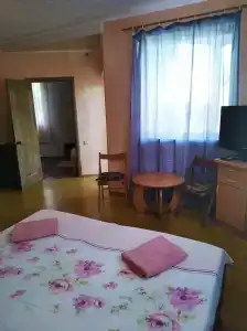 Аришка - 14
