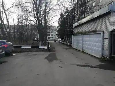 Гуп Мо Лабрадор - 3