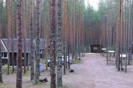 Туулос - 40