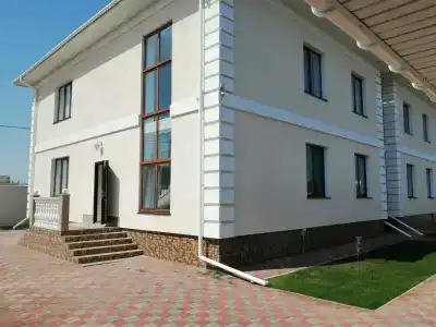 Виноград - 14