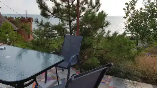 Замок грез - 21