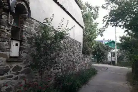 Пашуня - 20