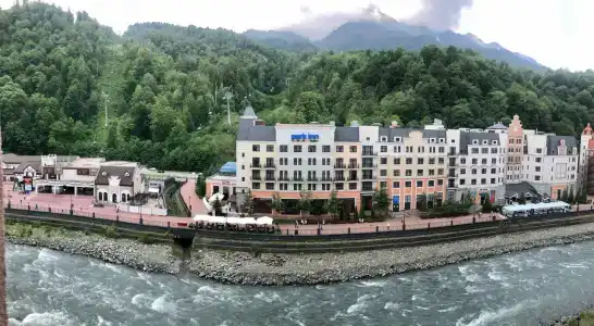 Голден Тюлип - 91