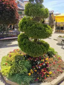 Гранд Круиз - 38