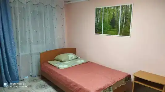 Багира - 1