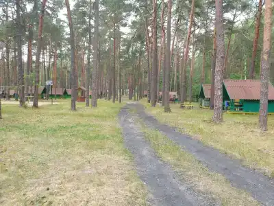 База отдыха Брестского олимпийского резерва - 0