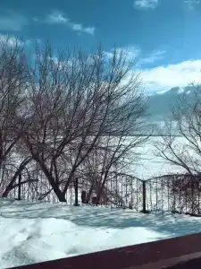 Альбатрос - 39