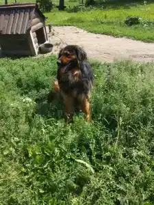 Заречье - 68