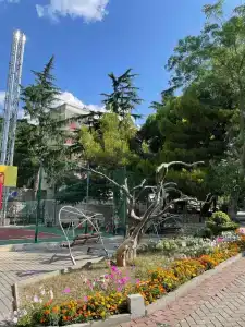 Пограничник - 34