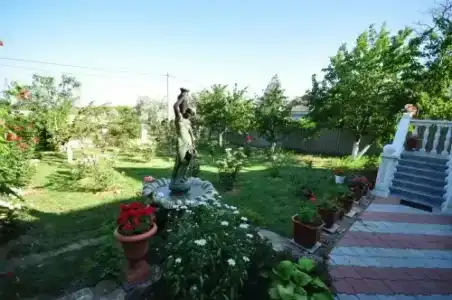 Райский Берег - 44