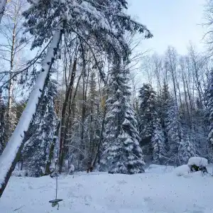 СмородинаХаус - 84