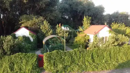 Limo - 1