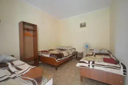 Аист - 7