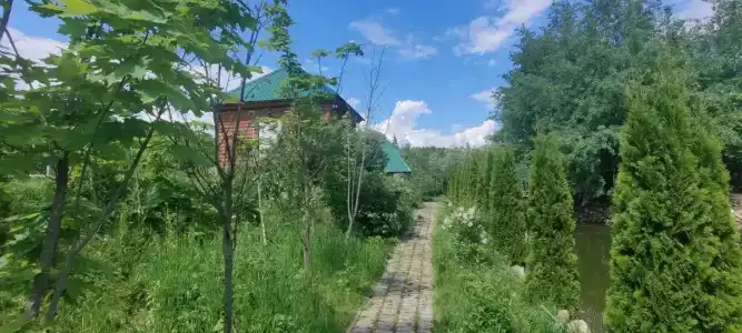 Фазенда Азнавура - 5