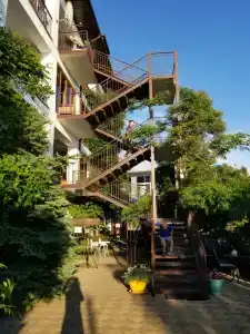 Фламинго - 26