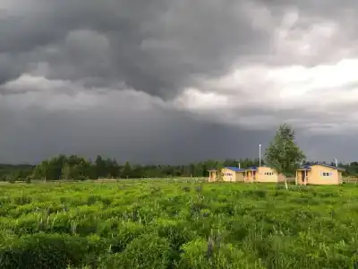 ПолеДом - 53