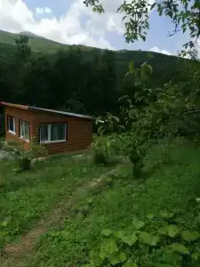 База отдыха у Иваныча - 27