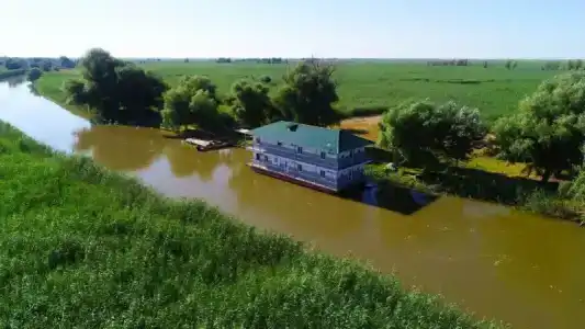 Пиранья-дельта - 0