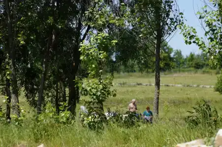 Ерши - 21