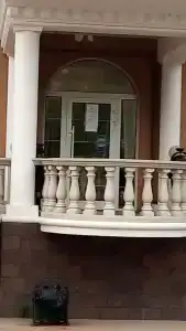 City cats - 2