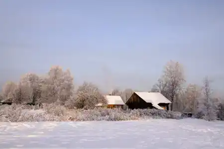 Северная надежда - 59