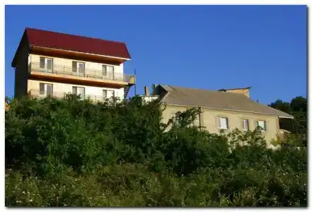 у Тамилы - 13