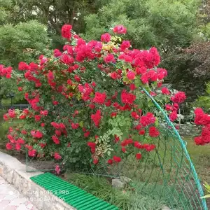 Евпатория - 51