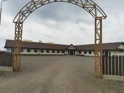 Феникс - 8