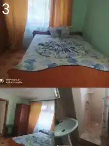 Амир - 13