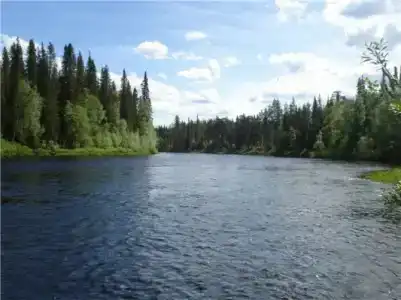 Фаворит - 25