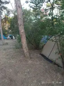 Сосновый бор - 69