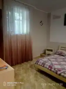Сосна и Пальмы - 42