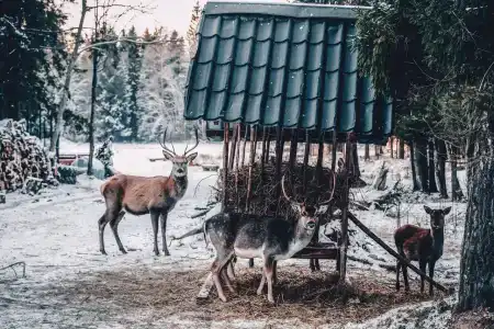 Веретьево - 20