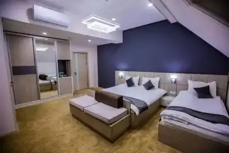 Art Regency Premium Free Airport Service - 17