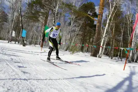 Хвойный - 53