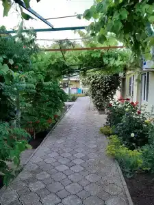 Бриз - 7