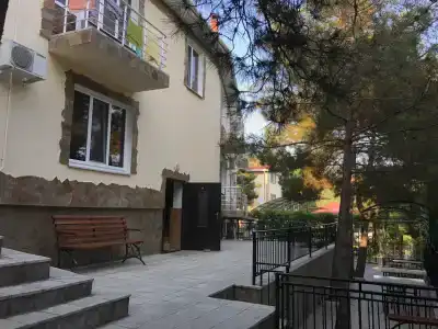 Дельфин - 23