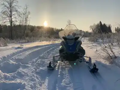 Снегоходия - 18