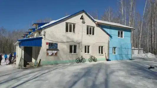 Берёзка - 10