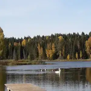 Кылдысин - 25