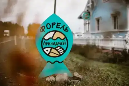 Приладожье - 17