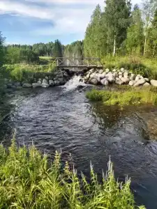 Маркомусы - 64