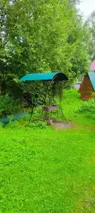 Роза Ветров - 3