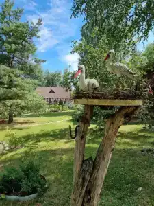 Панковский закуток - 4