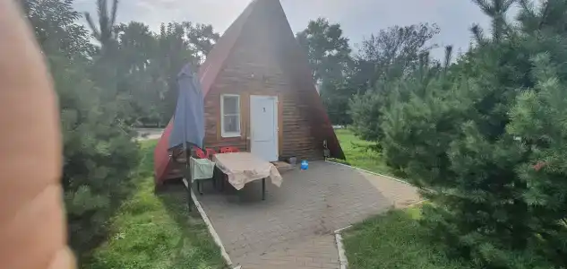 Дон - 33