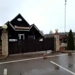 Подборовье - 3