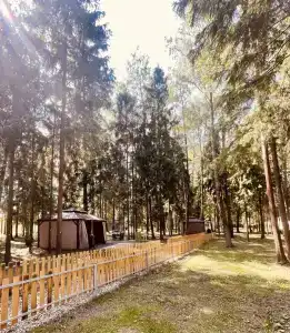 Лукоморье - 47