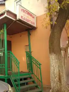 Каштан - 6