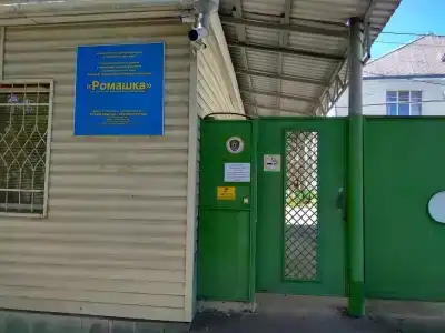 Ромашка - 13