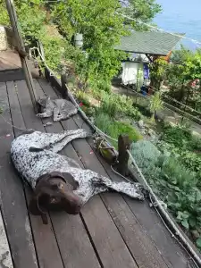 Лазурный залив - 12